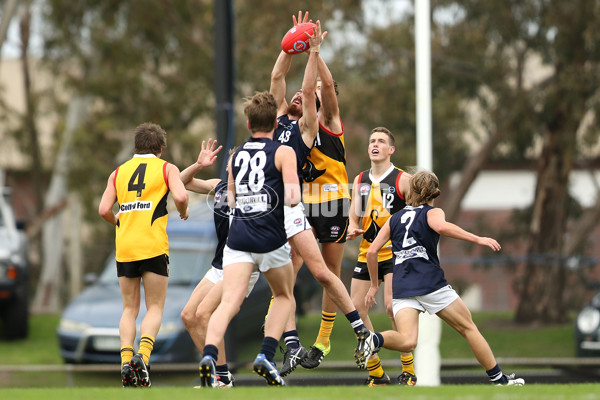 2016 TAC Cup Rd 8 - Dandenong v Geelong - 443723