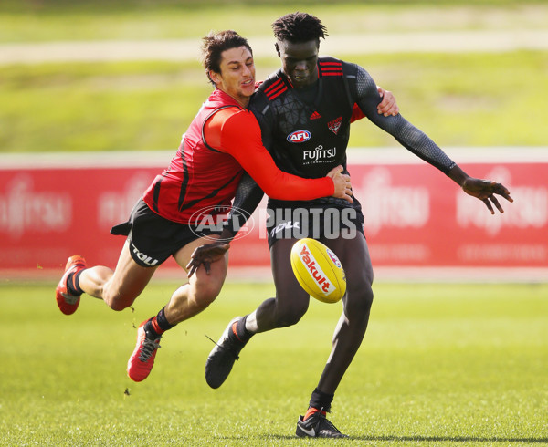 AFL 2016 Training - Essendon 010616 - 443845