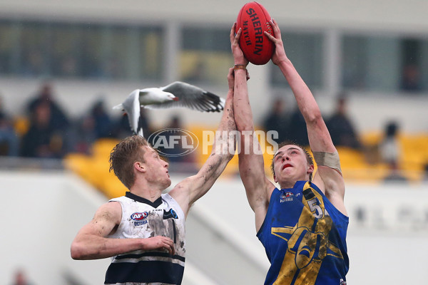 2016 TAC Cup Rd 9 - Western Jets v Northern Knights - 444375