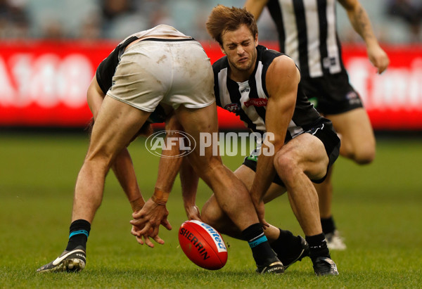 AFL 2016 Rd 11 - Collingwood v Port Adelaide - 444904