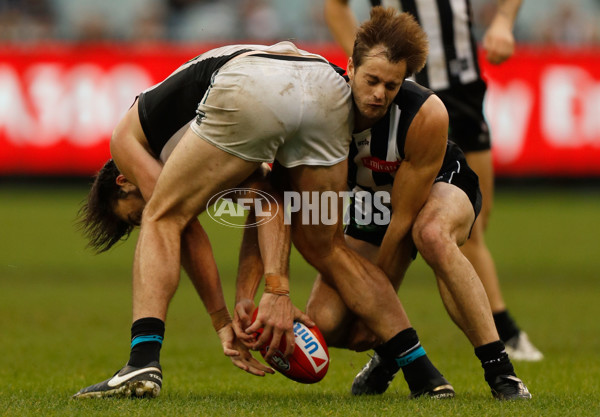 AFL 2016 Rd 11 - Collingwood v Port Adelaide - 444908