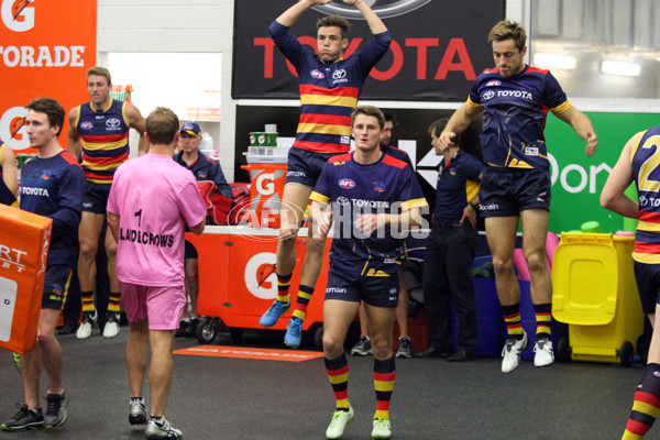 Adelaide 2016 - Ray Titus, Rd 11 - 445132