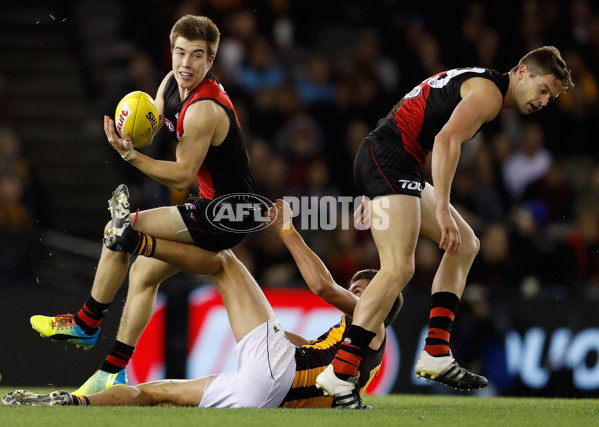 AFL 2016 Rd 12 - Essendon v Hawthorn - 445824