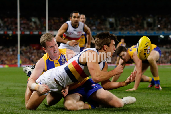 AFL 2016 Rd 12 - West Coast v Adelaide - 446404