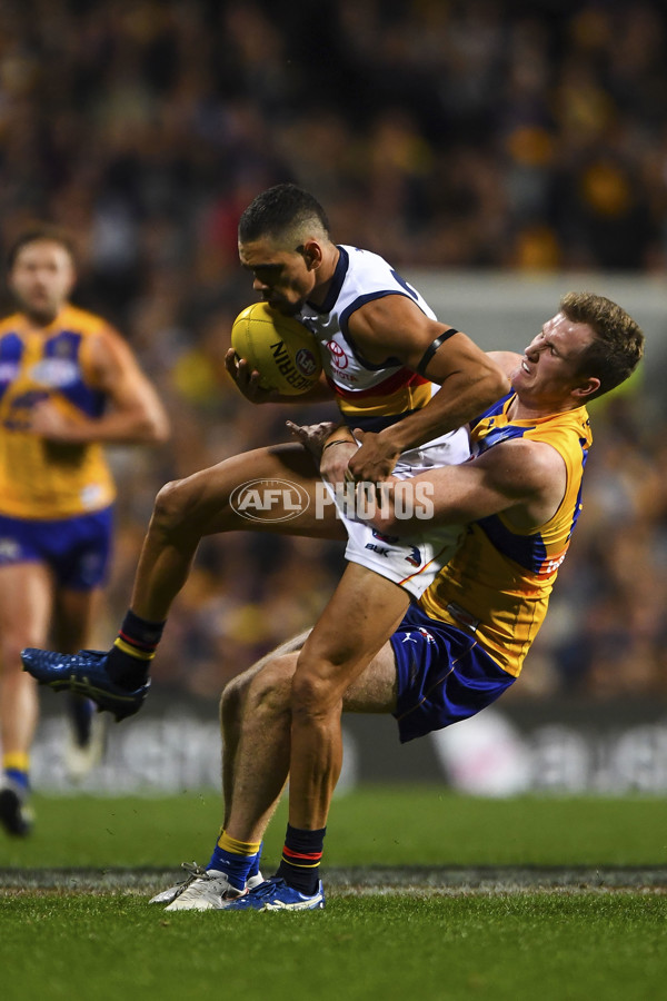 AFL 2016 Rd 12 - West Coast v Adelaide - 446472