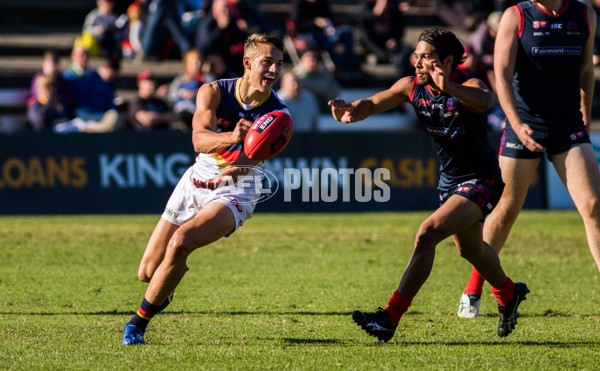 Adelaide 2016 - SANFL R11 v Norwood - 447119