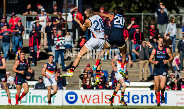 Adelaide 2016 - SANFL R11 v Norwood - 447121