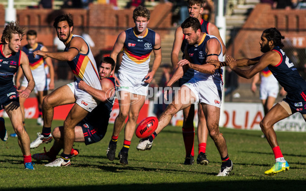 Adelaide 2016 - SANFL R11 v Norwood - 447122