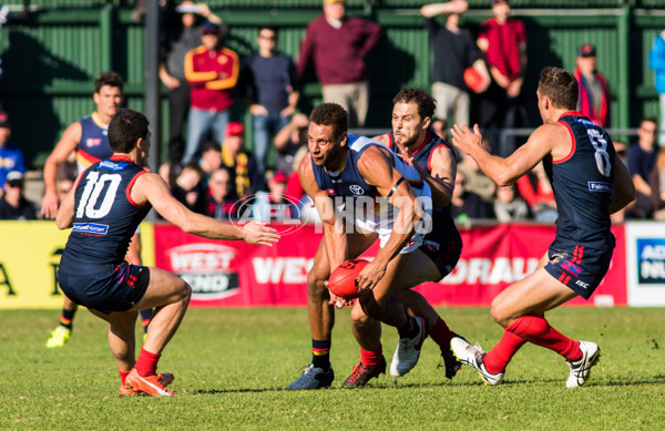 Adelaide 2016 - SANFL R11 v Norwood - 447118