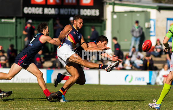 Adelaide 2016 - SANFL R11 v Norwood - 447127