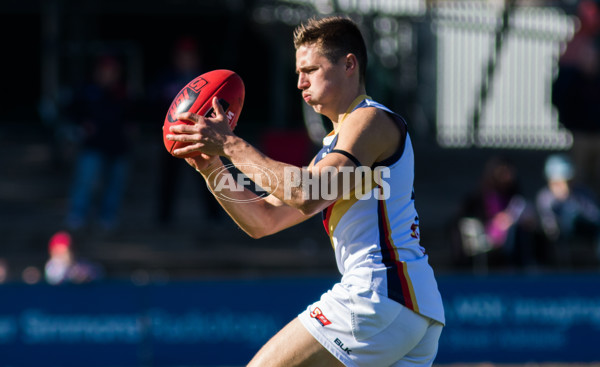 Adelaide 2016 - SANFL R11 v Norwood - 447132