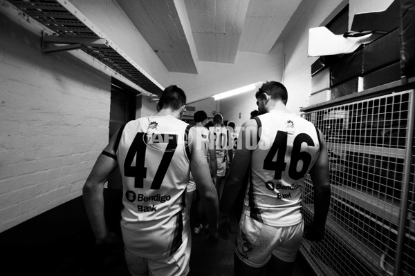 Adelaide 2016 - SANFL R11 v Norwood - 447147