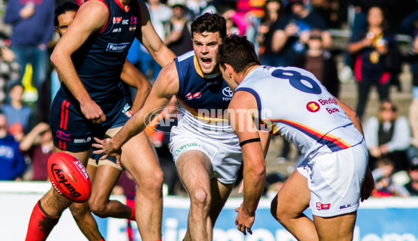Adelaide 2016 - SANFL R11 v Norwood - 447125