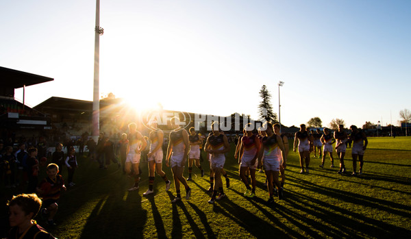 Adelaide 2016 - SANFL R11 v Norwood - 447148