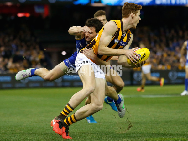 AFL 2016 Rd 13 - North Melbourne v Hawthorn - 448195