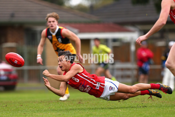 2016 TAC Cup Rd 10 - Dandenong Stingrays v Gippsland Power - 448426