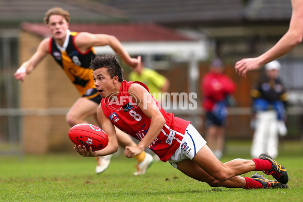 2016 TAC Cup Rd 10 - Dandenong Stingrays v Gippsland Power - 448424