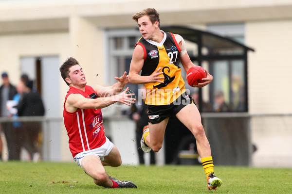 2016 TAC Cup Rd 10 - Dandenong Stingrays v Gippsland Power - 449129