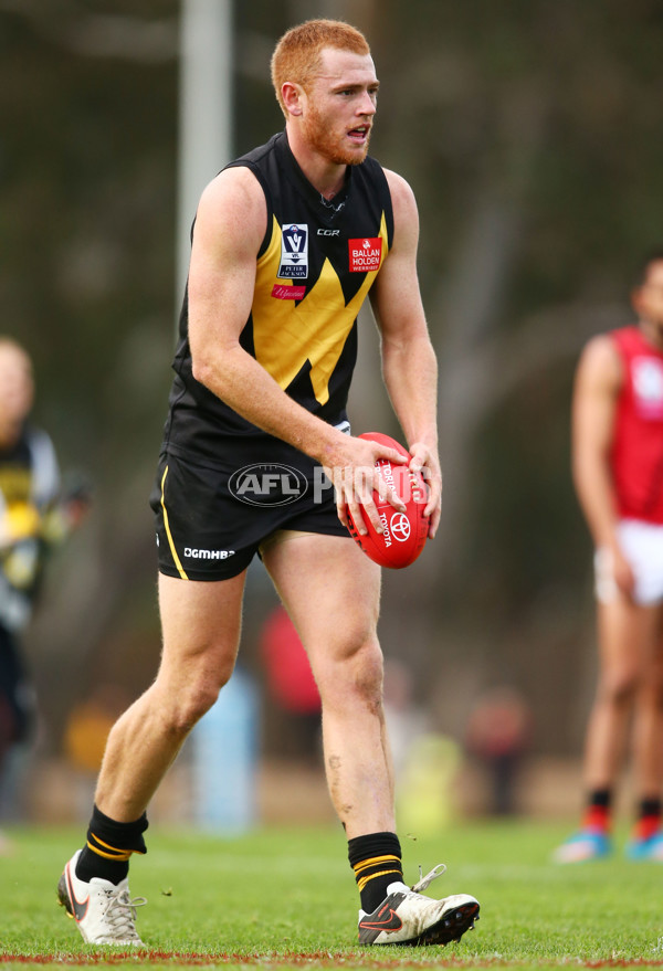 VFL 2016 Rd 11 - Essendon v Werribee - 449387