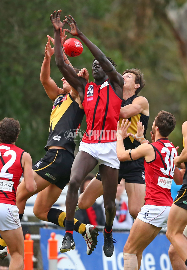 VFL 2016 Rd 11 - Essendon v Werribee - 449443