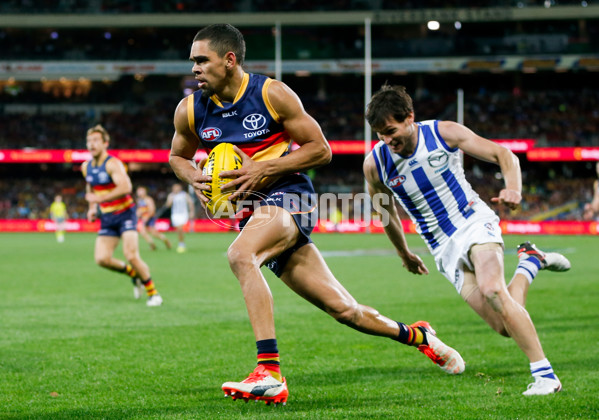 AFL 2016 Rd 14 - Adelaide v North Melbourne - 449633