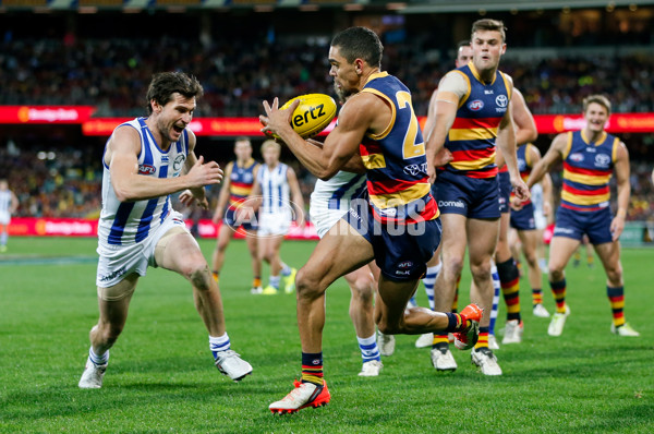 AFL 2016 Rd 14 - Adelaide v North Melbourne - 449704