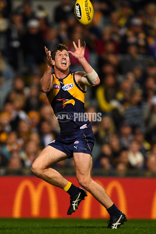 AFL 2016 Rd 15 - West Coast v Essendon - 451404