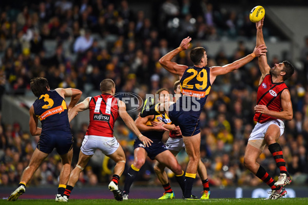 AFL 2016 Rd 15 - West Coast v Essendon - 451447