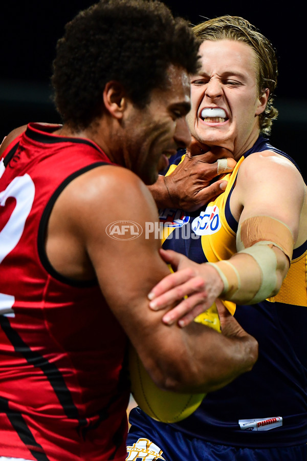 AFL 2016 Rd 15 - West Coast v Essendon - 451564