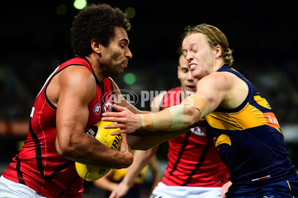 AFL 2016 Rd 15 - West Coast v Essendon - 451563