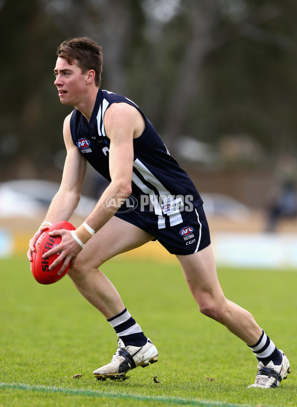 2016 TAC Cup Rd 12 - Geelong Falcons v Sandringham Dragons - 452299