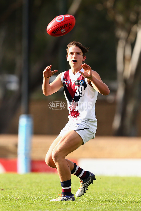 2016 TAC Cup Rd 12 - Geelong Falcons v Sandringham Dragons - 452332