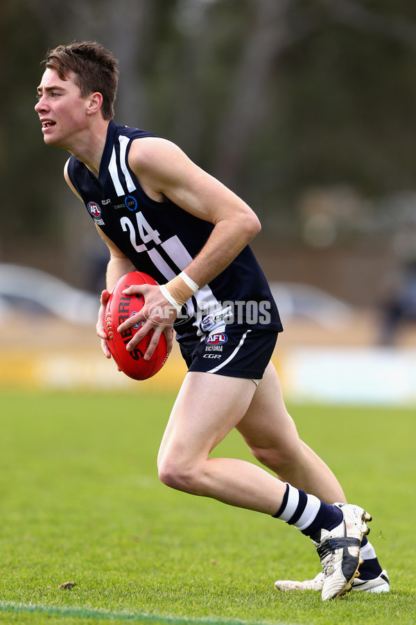 2016 TAC Cup Rd 12 - Geelong Falcons v Sandringham Dragons - 452298