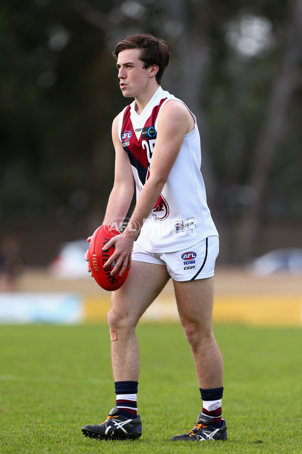 2016 TAC Cup Rd 12 - Geelong Falcons v Sandringham Dragons - 452322