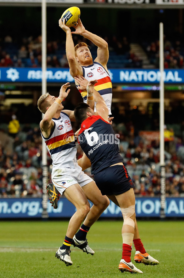 AFL 2016 Rd 15 - Melbourne v Adelaide - 452555