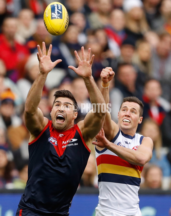 AFL 2016 Rd 15 - Melbourne v Adelaide - 452516