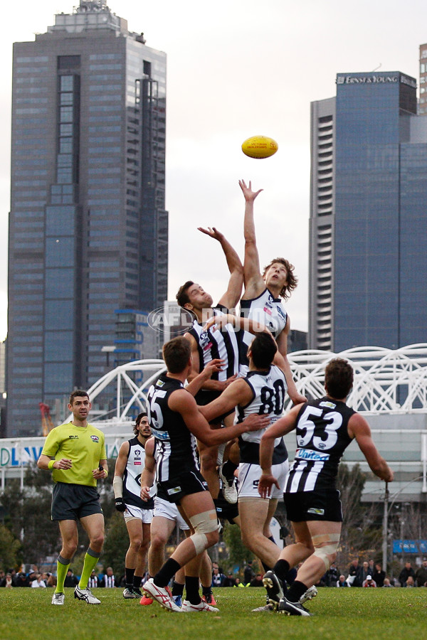 VFL 2016 Rd 13 - Collingwood v Northern Blues - 452737