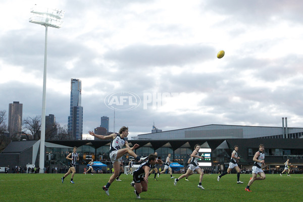 VFL 2016 Rd 13 - Collingwood v Northern Blues - 452733