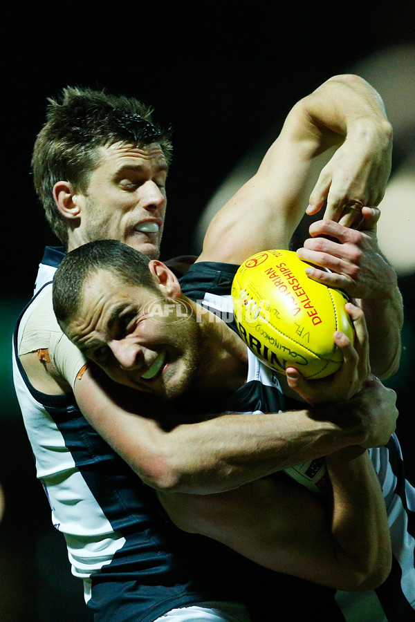 VFL 2016 Rd 13 - Collingwood v Northern Blues - 452749