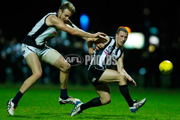 VFL 2016 Rd 13 - Collingwood v Northern Blues - 452742