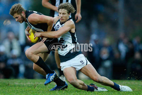 VFL 2016 Rd 13 - Collingwood v Northern Blues - 452761