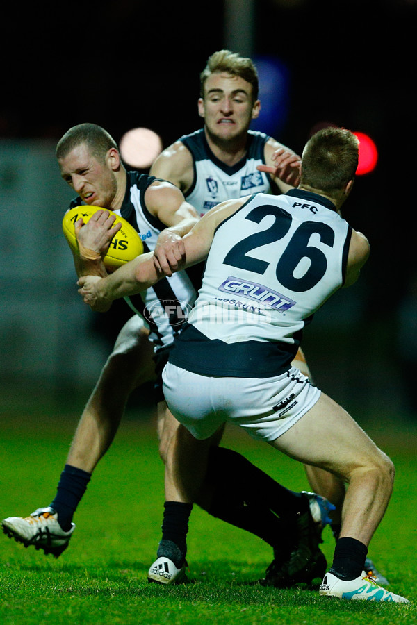 VFL 2016 Rd 13 - Collingwood v Northern Blues - 452741