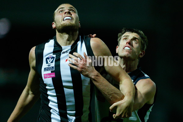 VFL 2016 Rd 13 - Collingwood v Northern Blues - 452747