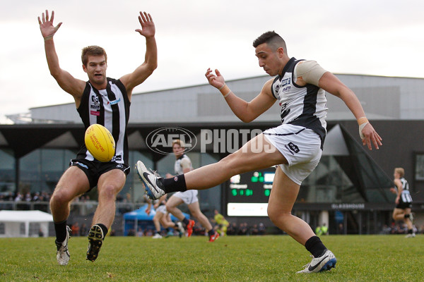 VFL 2016 Rd 13 - Collingwood v Northern Blues - 452736