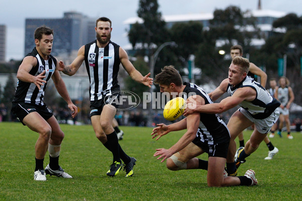 VFL 2016 Rd 13 - Collingwood v Northern Blues - 452732