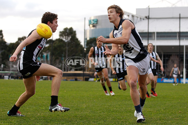 VFL 2016 Rd 13 - Collingwood v Northern Blues - 452738