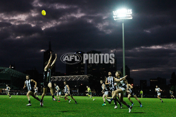 VFL 2016 Rd 13 - Collingwood v Northern Blues - 452731