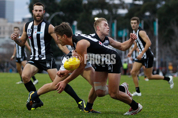 VFL 2016 Rd 13 - Collingwood v Northern Blues - 452734