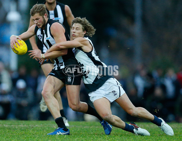 VFL 2016 Rd 13 - Collingwood v Northern Blues - 452760