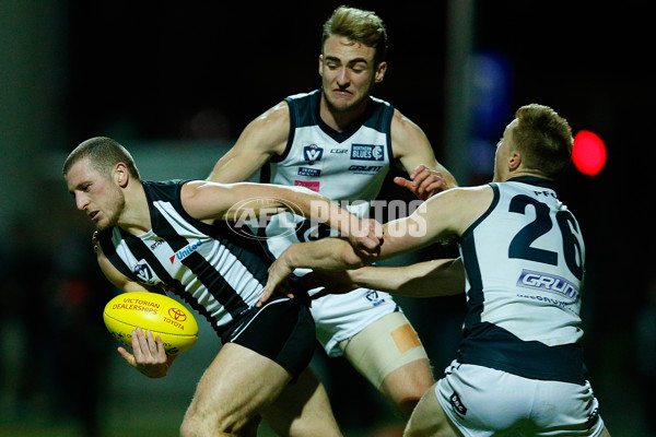 VFL 2016 Rd 13 - Collingwood v Northern Blues - 452739